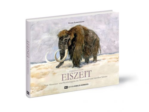 Faszination EISZEIT
